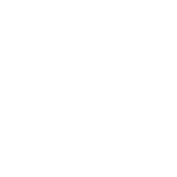 SoVelo "Dein Rad"